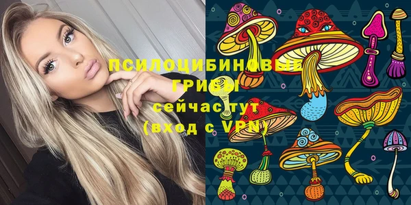 ешки Алексеевка