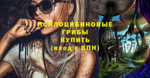 соль курить ск Алзамай