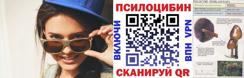 Псилоцибиновые грибы прущие грибы  mega маркетплейс  Киселёвск 